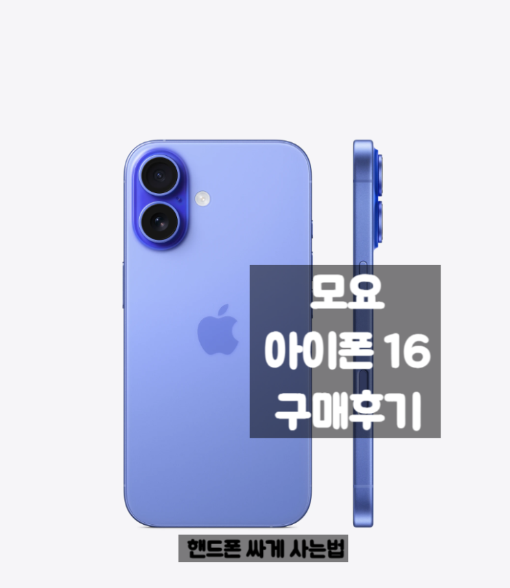  [내돈내산] 모요 | 아이폰16 싸게 사는 법 (숨은 조건 없이 기기값 2000원)