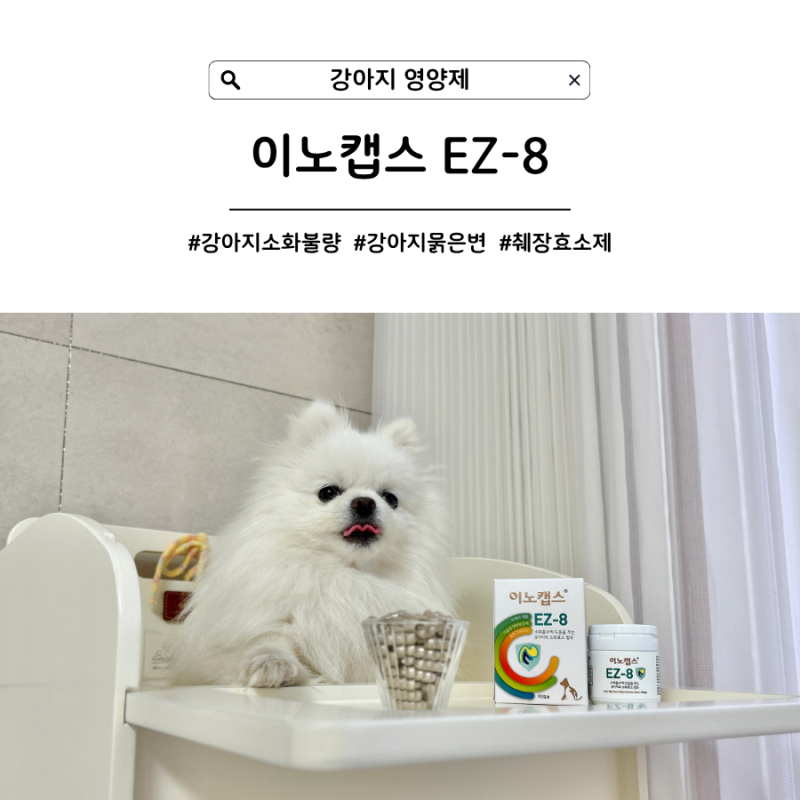 [강아지 영양제] 강아지묽은변 소화불량이 걱정이라면, 이노캡스 EZ-8 췌장효소제