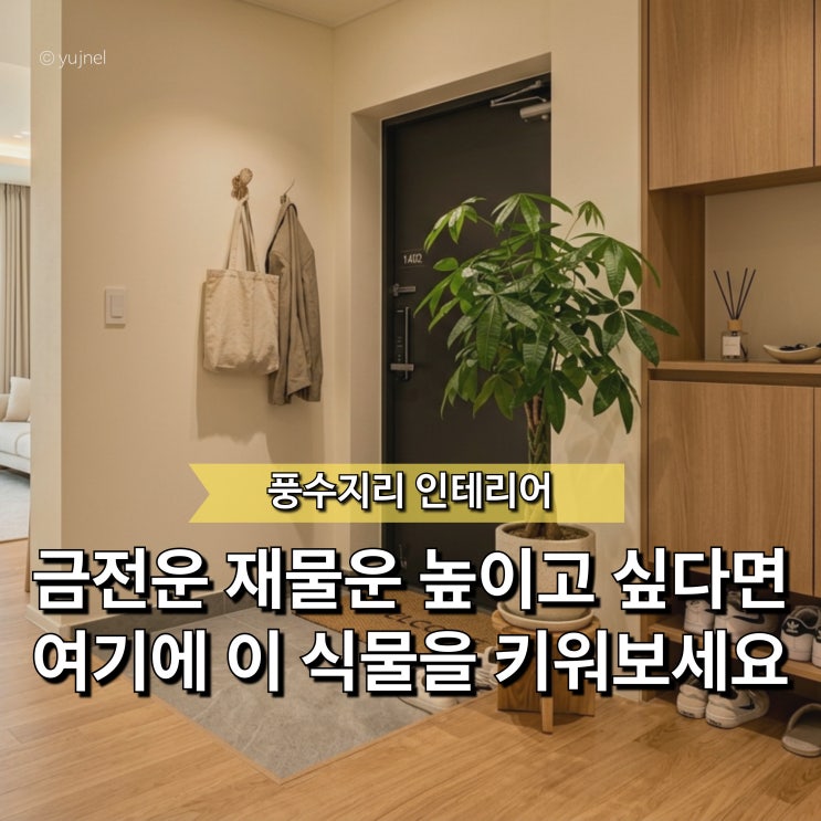  "이거 하나로 재물운 금전운이 올라가요" 5월 집안에 두면 좋은 풍수 식물 추천