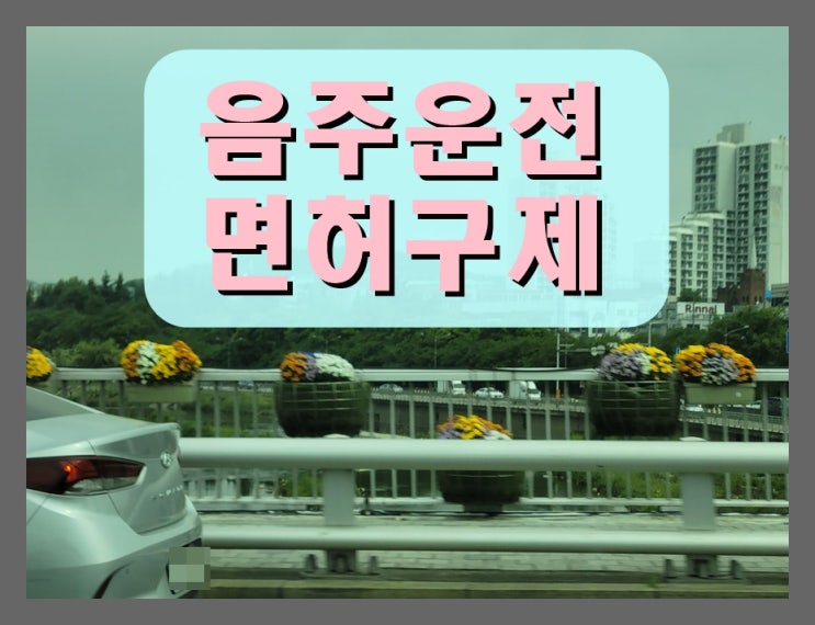  어린이집 원장(교사) 음주운전 면허취소 구제 방안과 핵심 전략