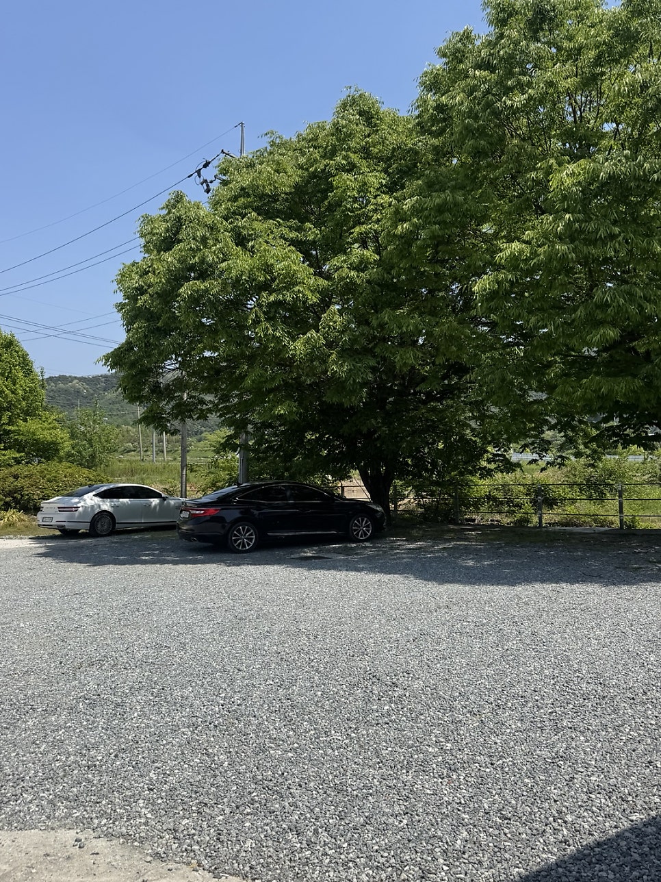 수동메기매운탕 사진 4