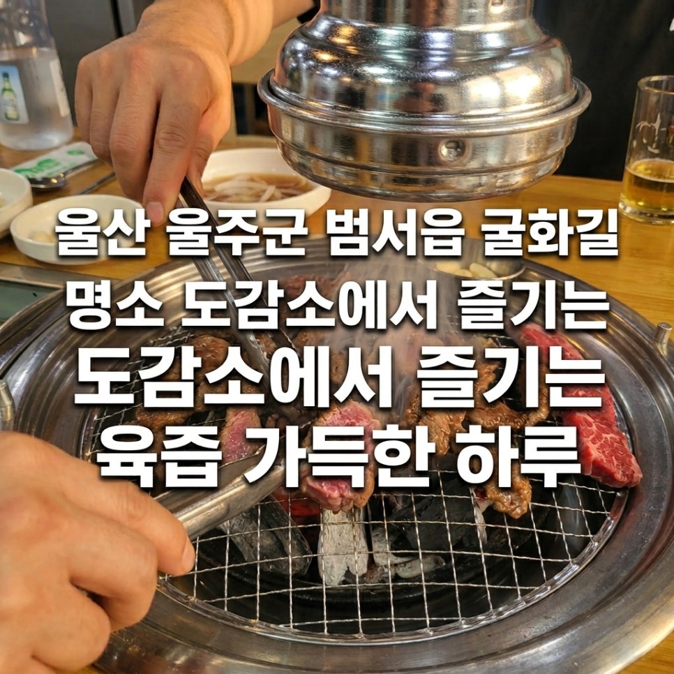 도감소 사진 1