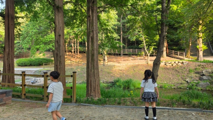  대전 중구 아이와 가볼만한곳 추천 보문산 사정공원 야외 모래 놀이터 자연관찰 후기