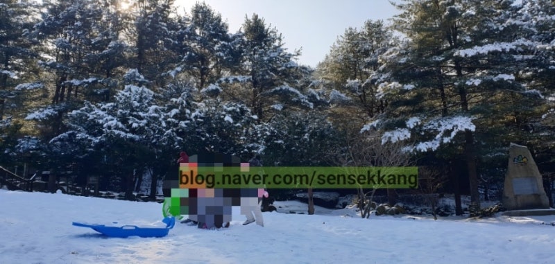 [三아이랑 여행] 전국 자연휴양림 여행 모음 1탄! ♡ 팁 요약 정리 / 추억 한 컷 사진.