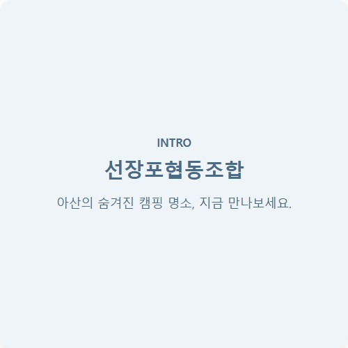 선장포협동조합
