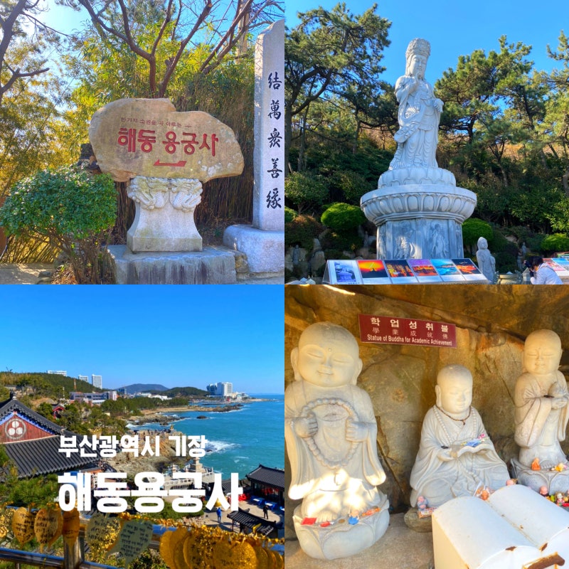 부산 여행 가볼만한 곳, 기장 해동용궁사 위치 주차 관람 꿀팁 후기