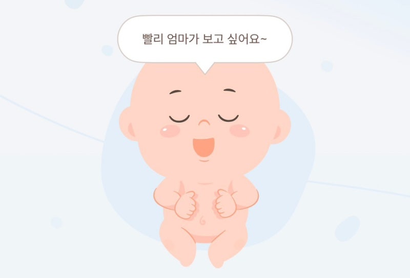 임산부 시기별 필수 영양제(엽산, 종합비타민, 철분제, 칼마디, 오메가3) 닥터에디션, 락토핏....