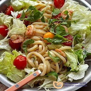 샐러드 우동 파스타 레시피, 여름 별미 소스 맛도 최고! 냉우동 맛있는 다이어트 샐러드식 점....