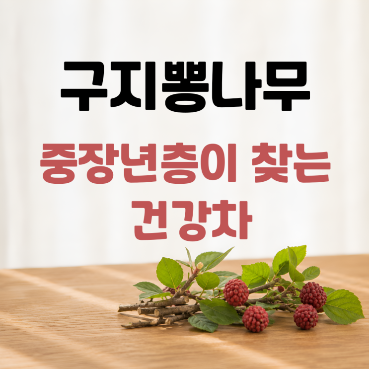  구지뽕나무 효능 부작용 섭취방법 구지뽕열매 차이 총정리