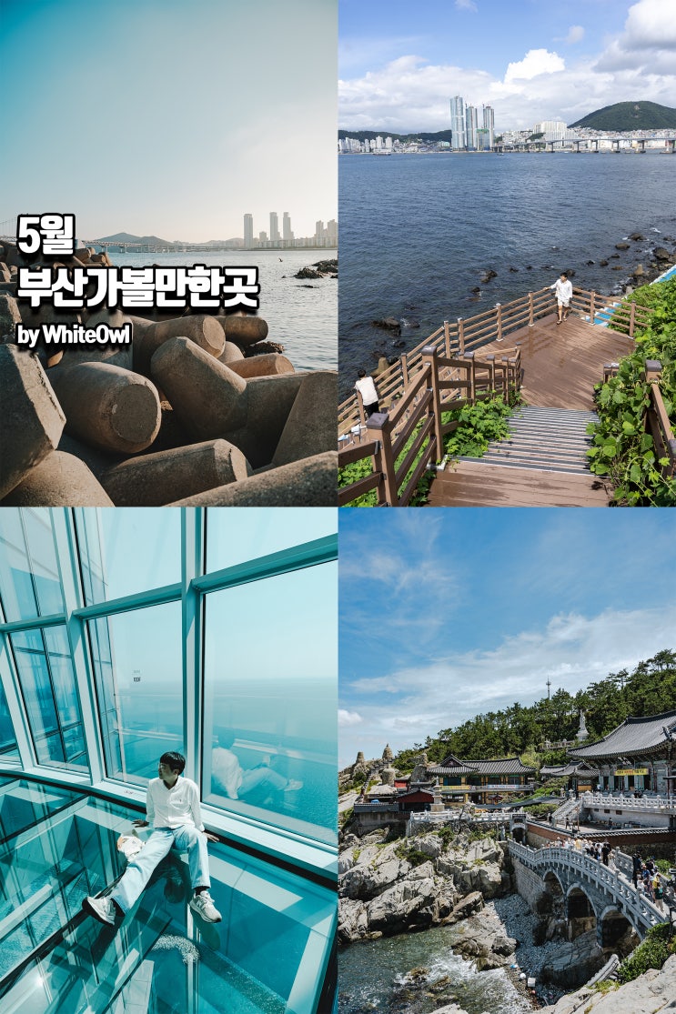 5월 부산가볼만한곳 해동용궁사, 엑스더스카이 전망대 등 여행코스