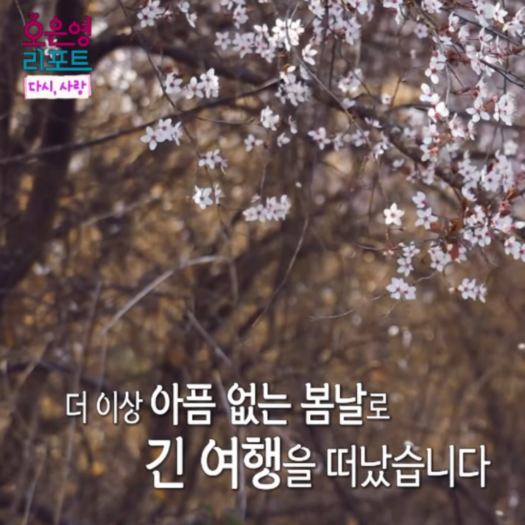오은영 박사도 오열한 결혼지옥 <b>배그부부</b>의 안타까운 이별