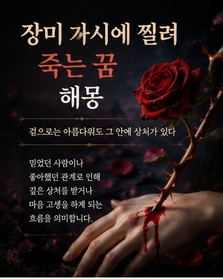 장미 가시에 찔려 죽는 꿈 해몽