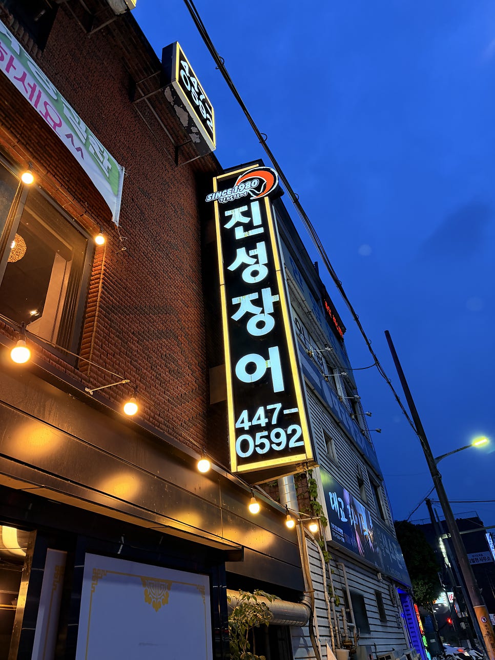 진성장어 사진 1