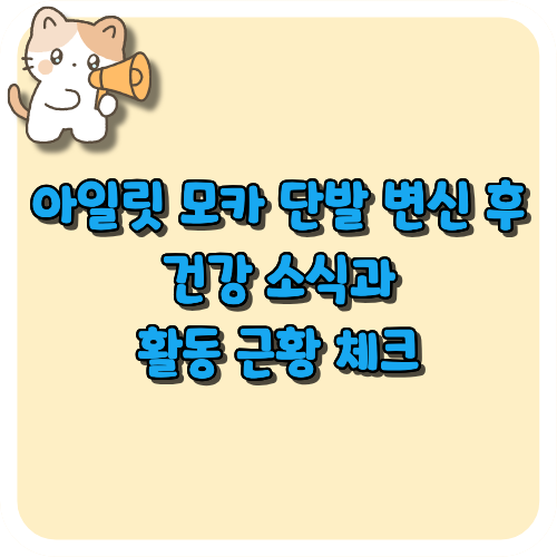 아일릿 모카 단발 변신 후 건강 소식과 활동 근황 체크