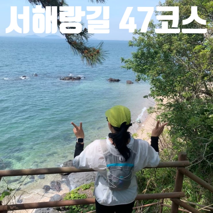  서해랑길 47코스 완주 후기｜부안 격포항 채석강 해식동굴, 데이지 꽃밭까지 너무 완벽했던 트레킹