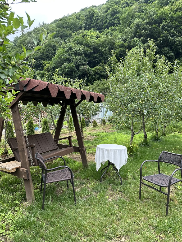 조동리알프스 사진 3