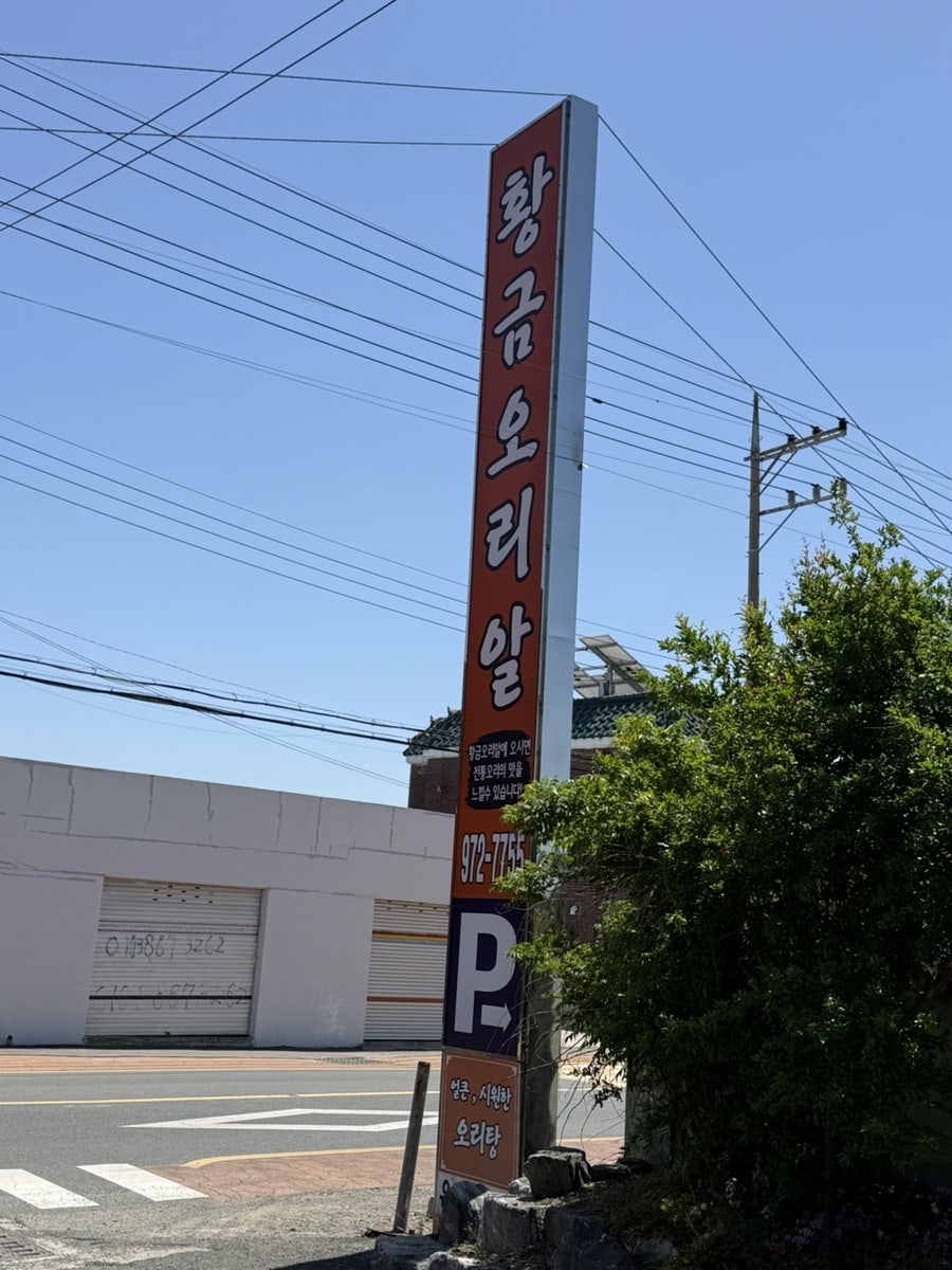 황금오리알 사진 1
