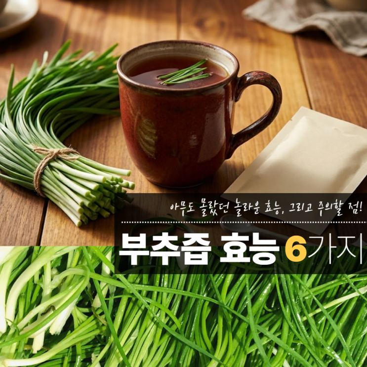  부추즙 효능 부작용 6가지 먹는법