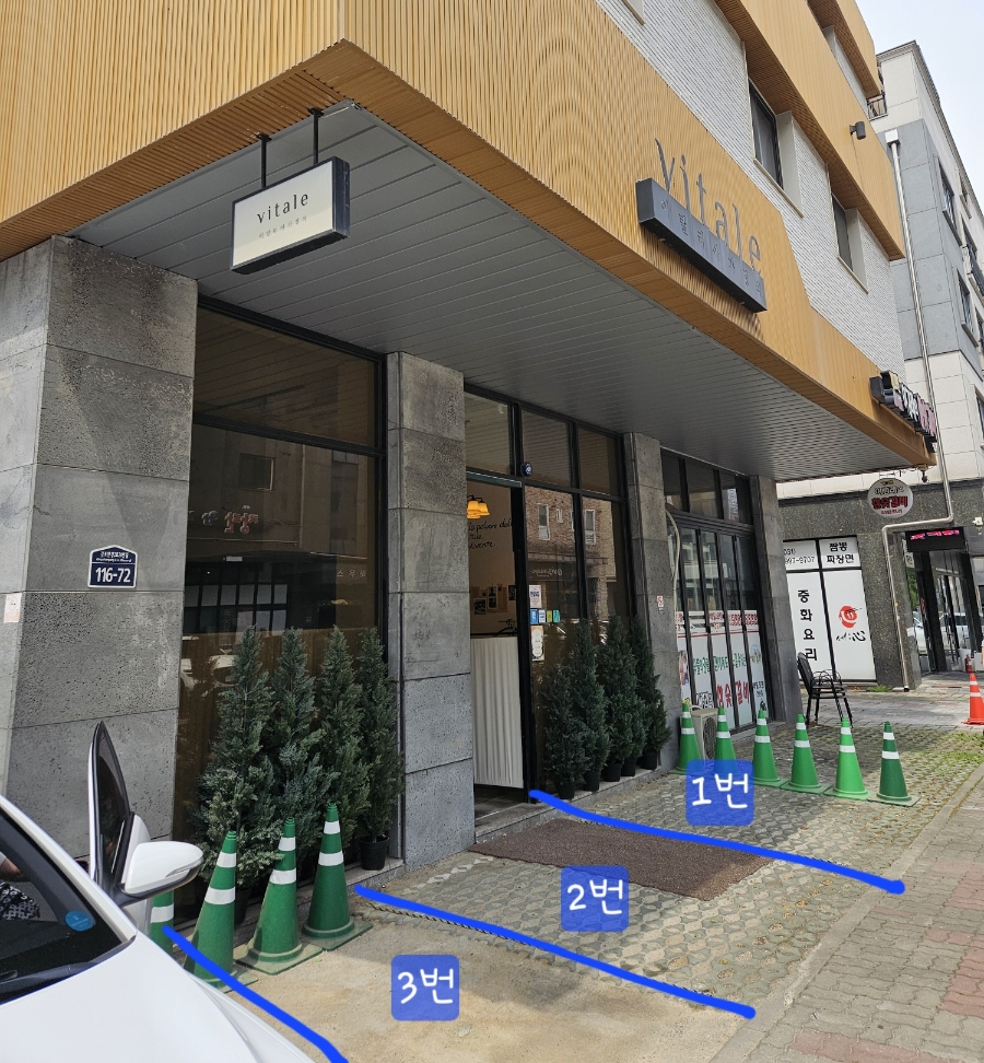 비딸레 사진 2