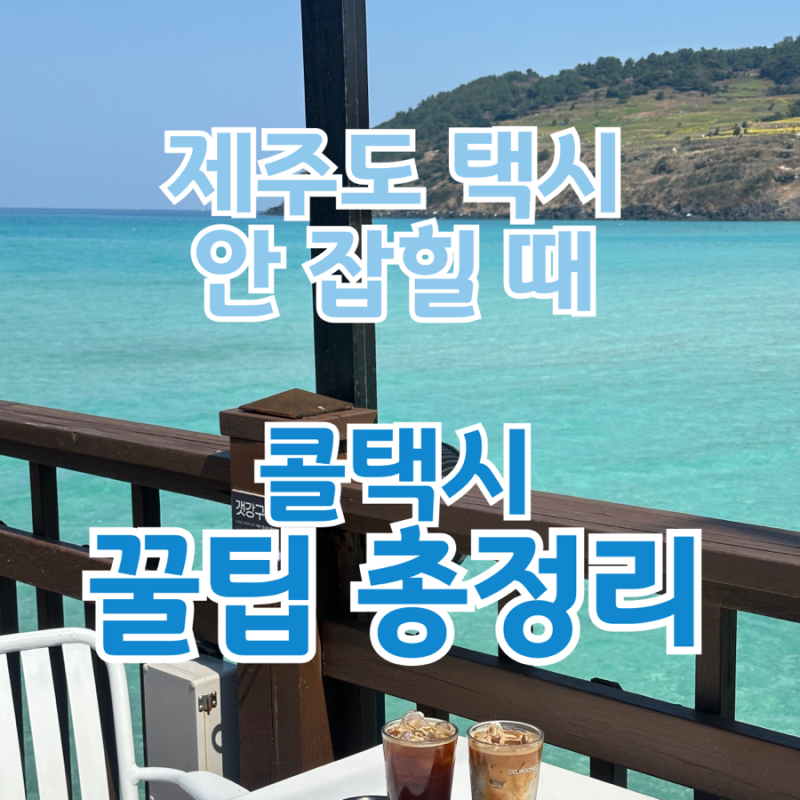 제주도 택시 안 잡힐 때 | 콜택시 번호·카카오택시 이용 꿀팁 총정리