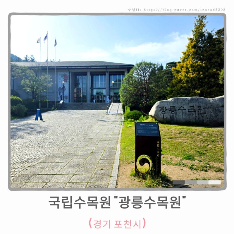 세상 처음 보는 골병꽃나무.. 조용히 힐링하기 좋은 포천 여행지 광릉수목원