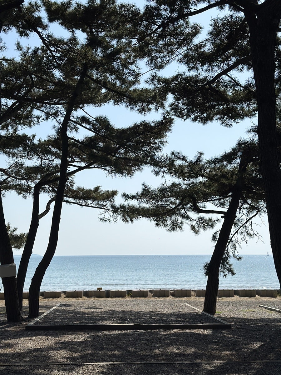 몽산포오토캠핑장 1구역 사진 6