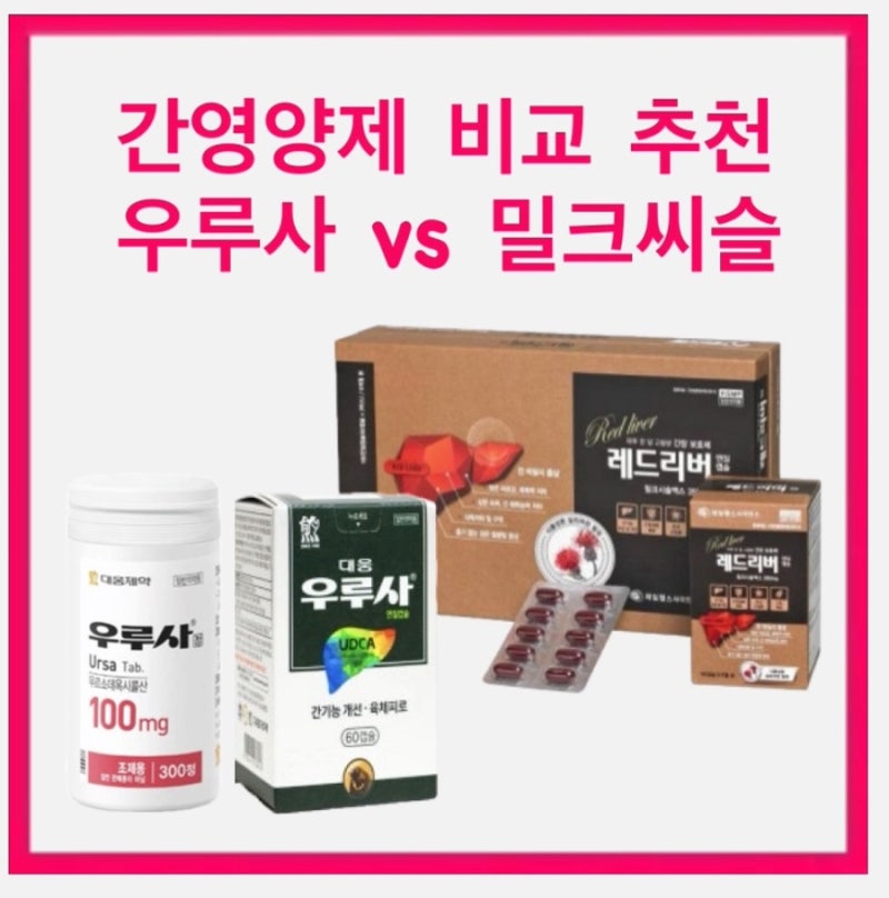 간영양제 추천•비교 : 우루사 밀크씨슬 차이 효능 ㅣ 숙취해소제 (feat. 간프로, 가네톡)