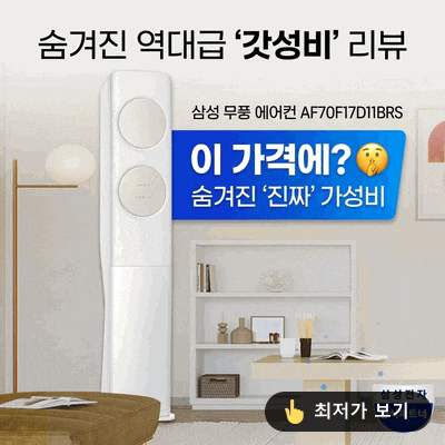 삼성 무풍 에어컨 AF70F17D11BRS, 이 가격에?  숨겨진 찐 가성비 후기