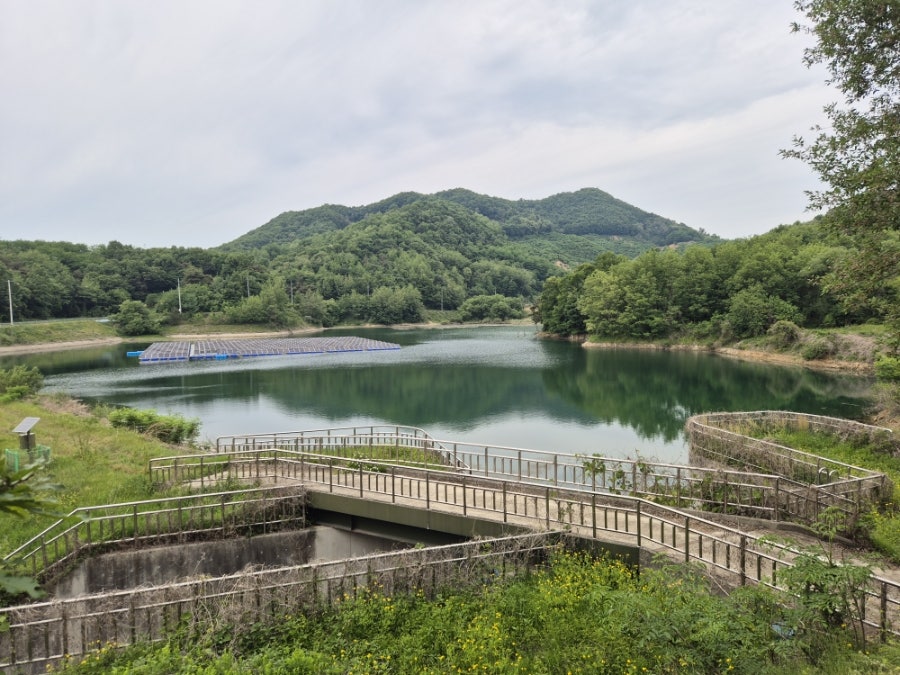 햇골산 사진 5