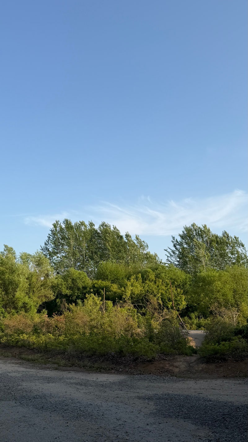 연천 평화강변 수목캠핑장(5월16일~5월17일)/사바티칼 길리아/밀리타도ML-05