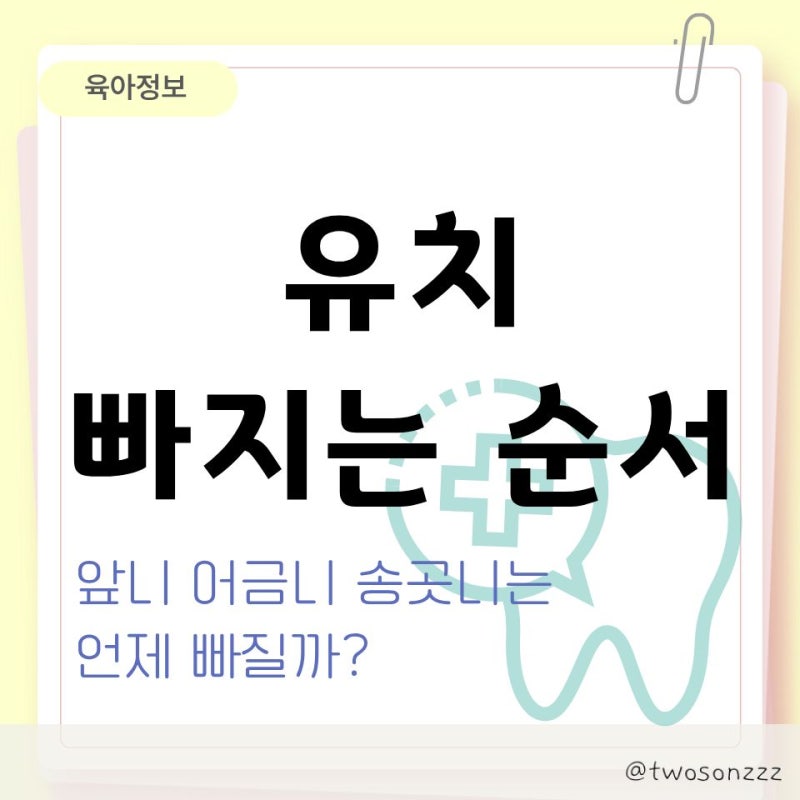 유치 빠지는 순서 시기 앞니 어금니 송곳니는 언제 빠질까