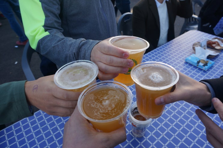 2017년 제9회 GKBF(GREAT KOREAN BEER FESTIVAL)