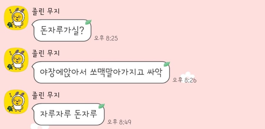 돈자루 사진 2