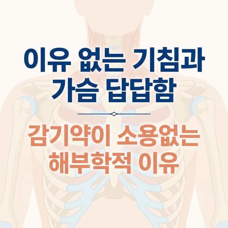  가슴 답답함 마른기침 원인, 진해거담제 한계와 흉곽 추나 한의원 치료