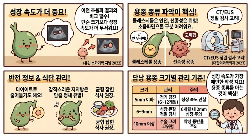 담낭 용종 크기별 기준, 수술이 필요한 시점은 언제일까?
