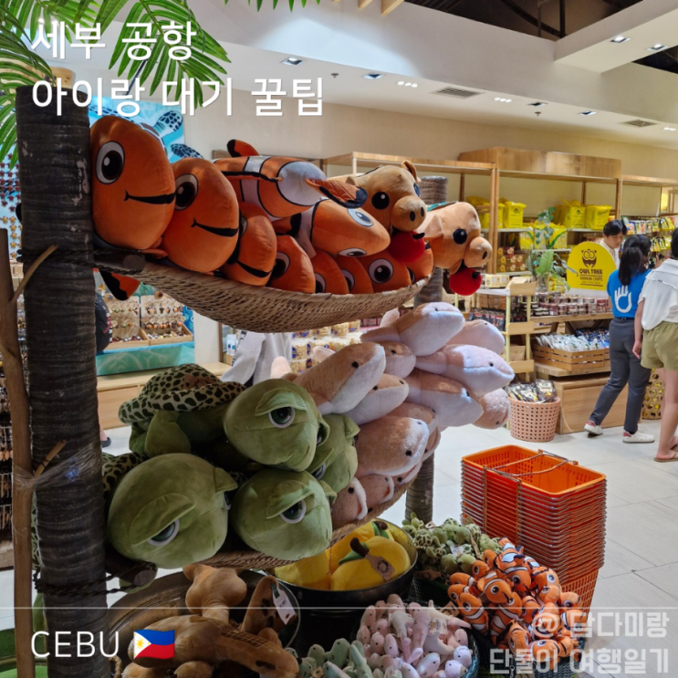  세부 여행 아이랑 단둘이 세부 막탄공항 찐 이용후기와 출국 팁
