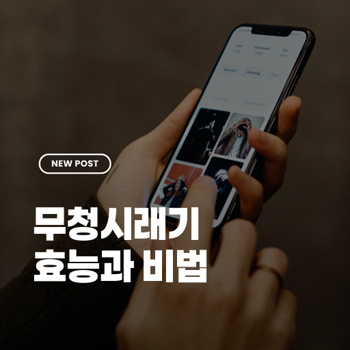 무청시래기효능과 겨울 건강관리