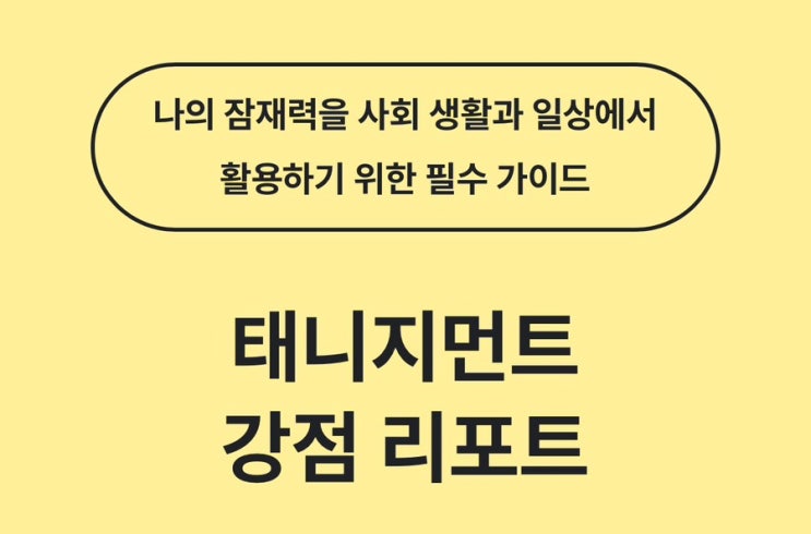  나는 일할 때 어떤 사람일까? 태니지먼트 검사 후기