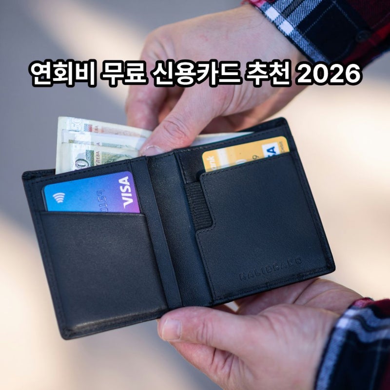 연회비 무료 신용카드 추천 2026