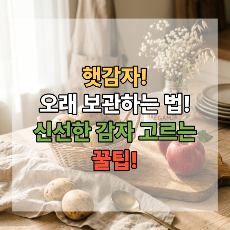  햇감자 오래 보관하는 법 신선한 감자 고르는 꿀팁