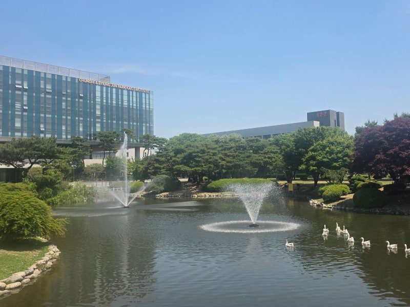 초등 아이와 대전 가볼 만한 곳: 충남대 영탑지와 카이스트 본원 오리연못 동물 친구들 만나....