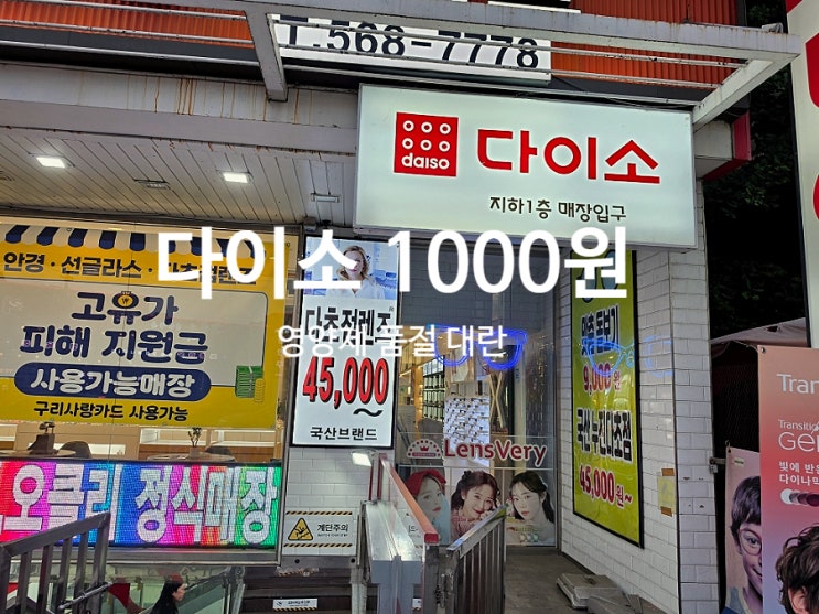  다이소 1000원 영양제 품절 대란 가성비 추천템 총정리