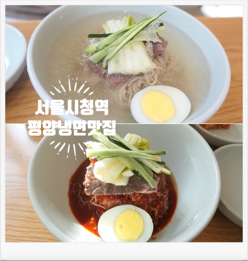 서울시청역평양냉면맛집 진진만두 시청점 깊고 진한 평양냉면 & 녹두빈대떡 맛 후기 ♩