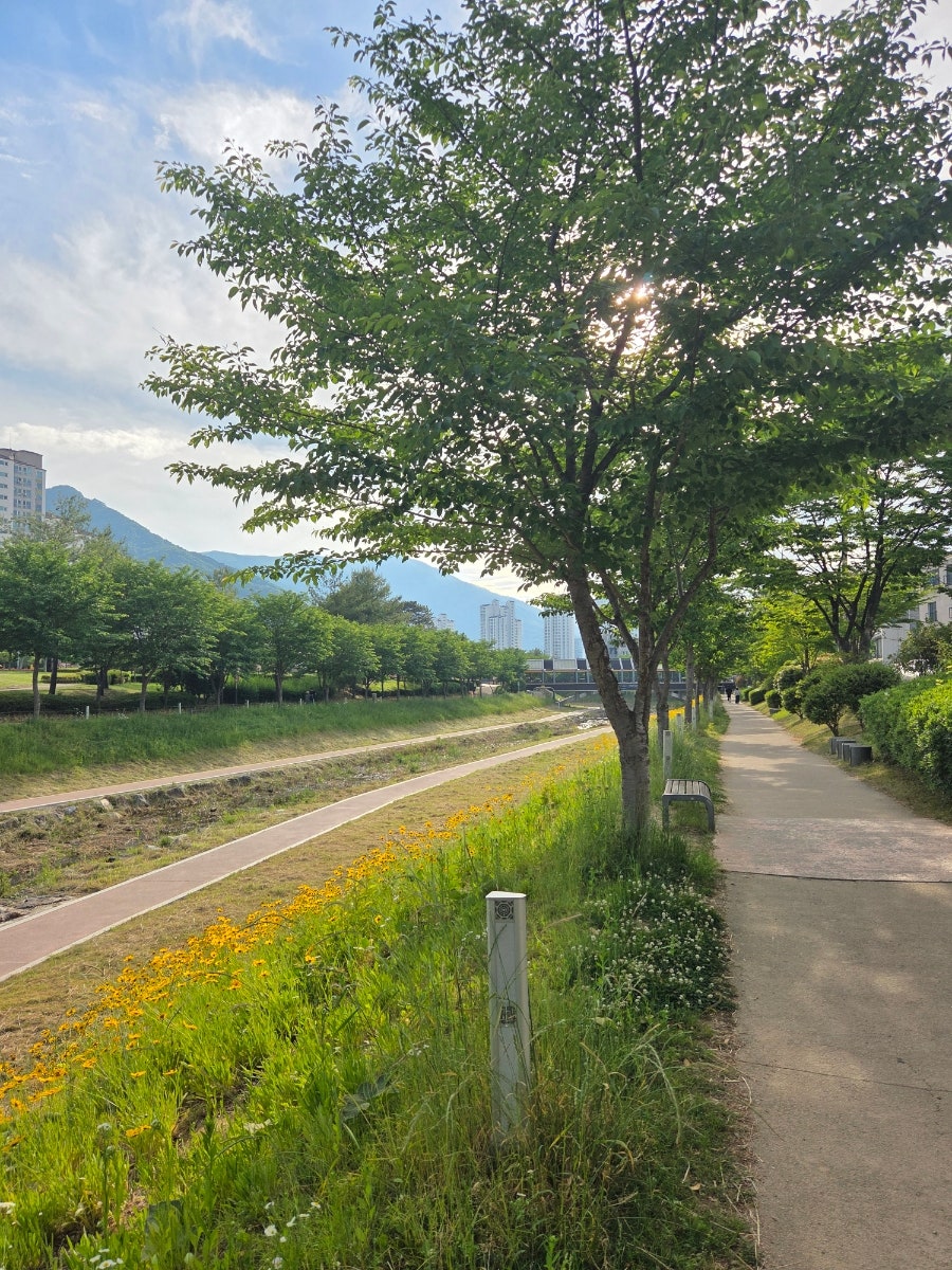 솔프랑 베이커리 사진 1