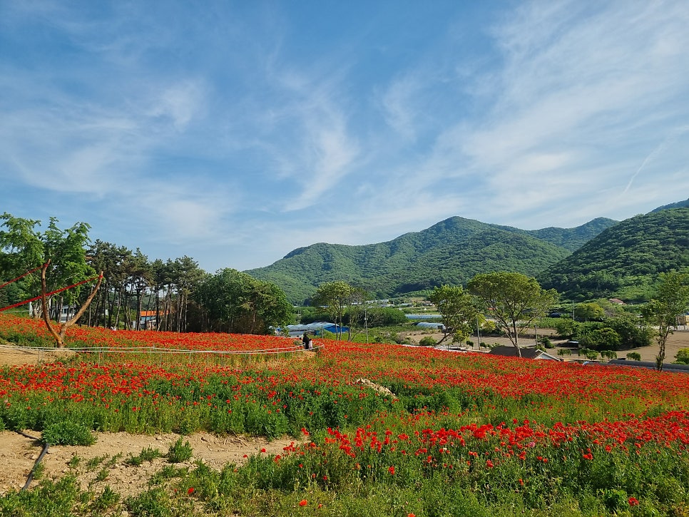 김장군막국수 부안점 사진 1
