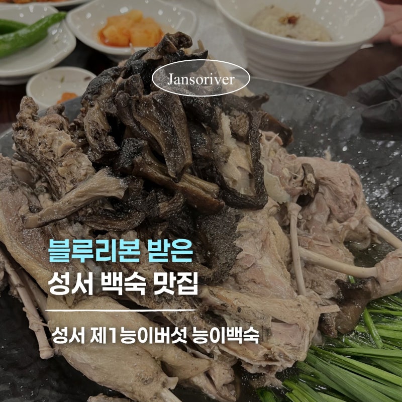 대구 성서 블루리본 맛집 제1능이백숙 어버이날 가족외식 후기 / 찰밥에 버섯육수 꼭 먹기