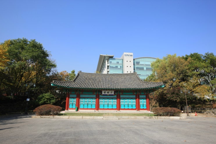  국수영탐탐 최저 3합6 성균관대 인문논술 경쟁률 50:1 기출문제 연습