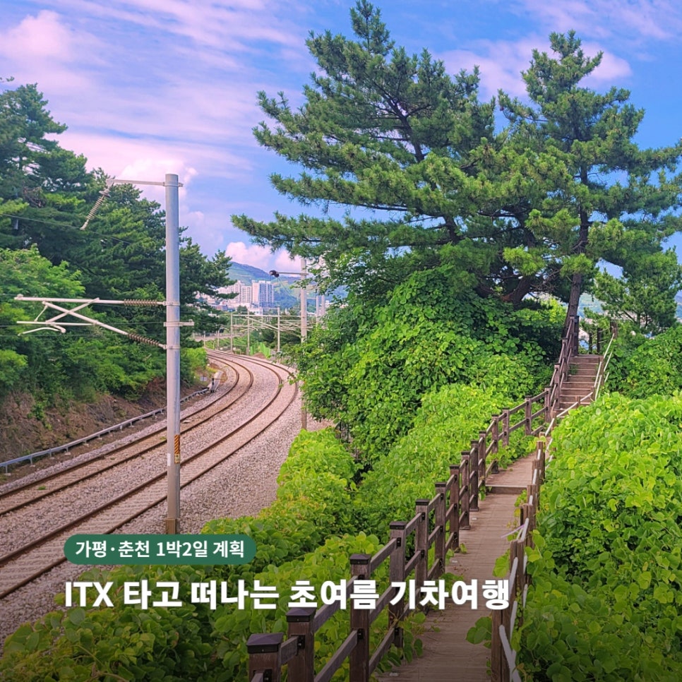 춘천금병산캠핑장 사진 1
