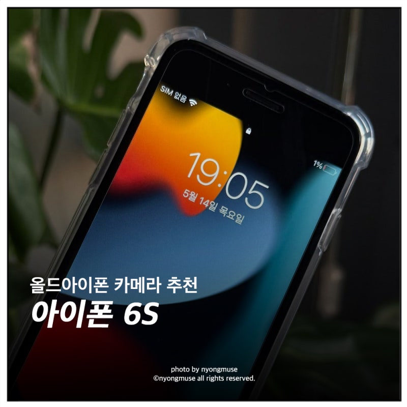 올드 아이폰6s 32기가 카메라 사진 색감 구매후기
