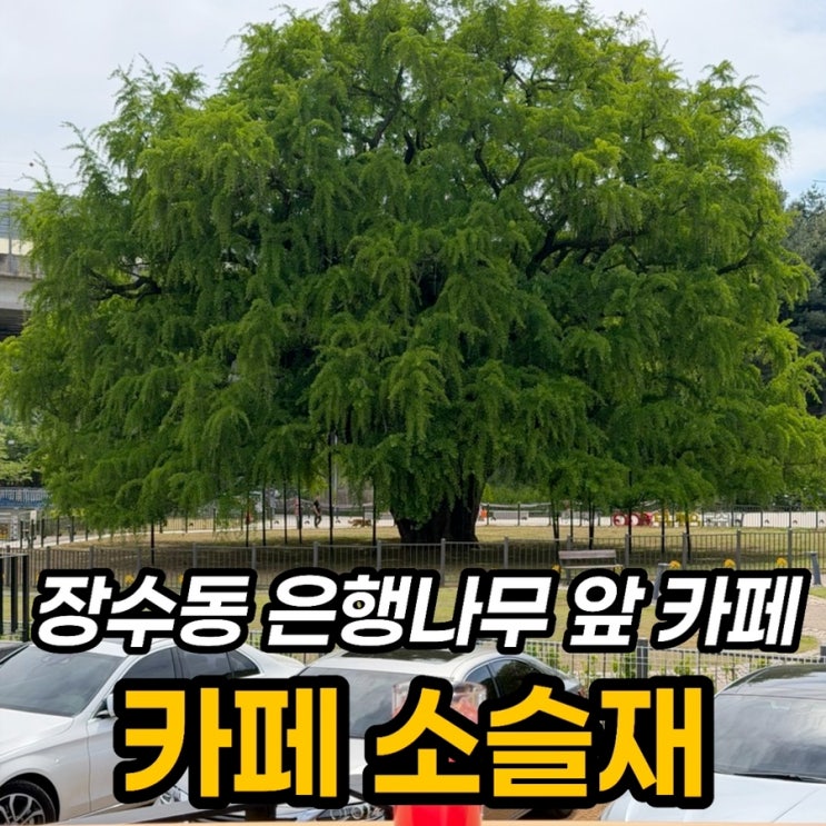  인천대공원 카페 소슬재, 장수동 은행나무 앞 베이커리 후기